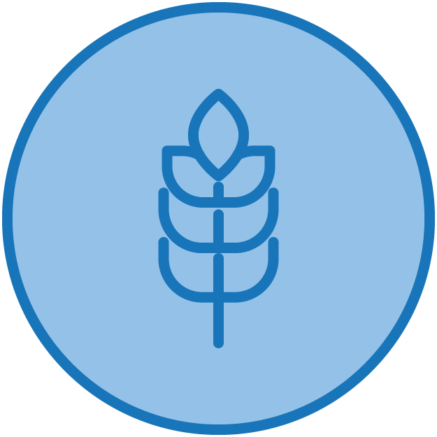 Grains