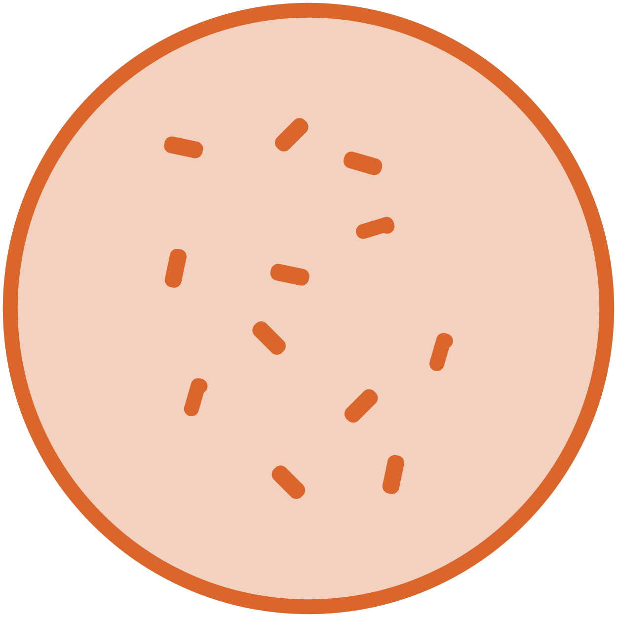 Gut Health